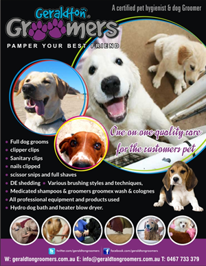 Flyer Design by Influential Guyz for this project | Design: #1137461