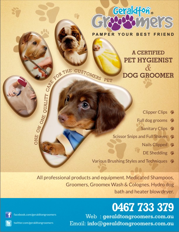 Flyer Design by Influential Guyz for this project | Design #1137462