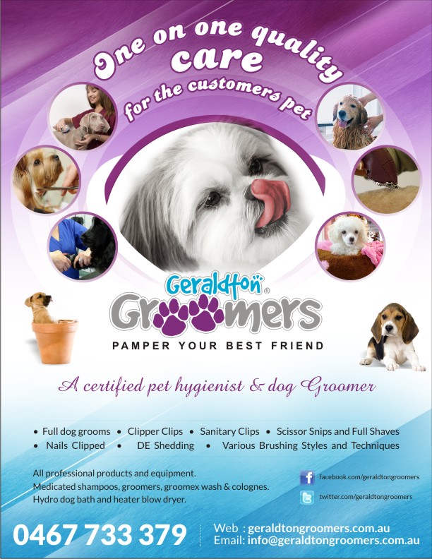 Flyer Design by Influential Guyz for this project | Design #1137463