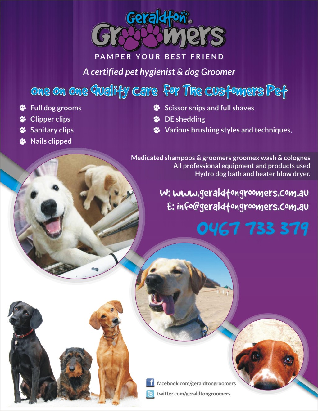 Flyer Design by Influential Guyz for this project | Design #1137470