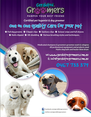 Flyer Design by Influential Guyz for this project | Design: #1150940