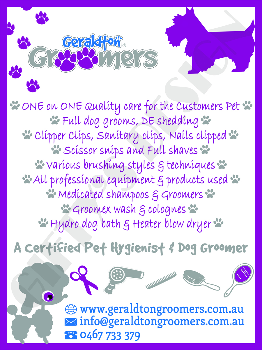 Flyer Design by DesignGift for this project | Design #1150943