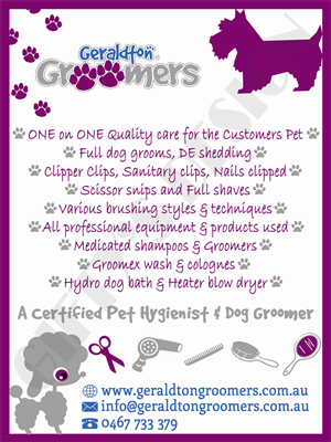 Flyer Design by DesignGift for this project | Design: #1150943