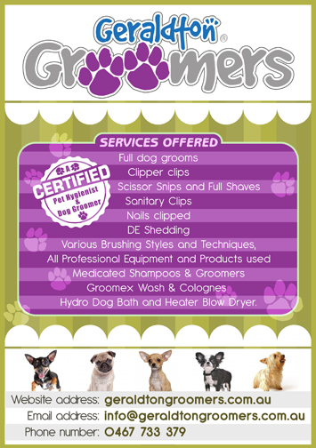 Flyer Design by Onesource_Creative for this project | Design #1142451