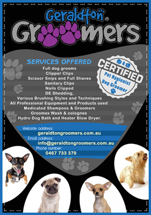 Flyer Design by Onesource_Creative for this project | Design: #1142749