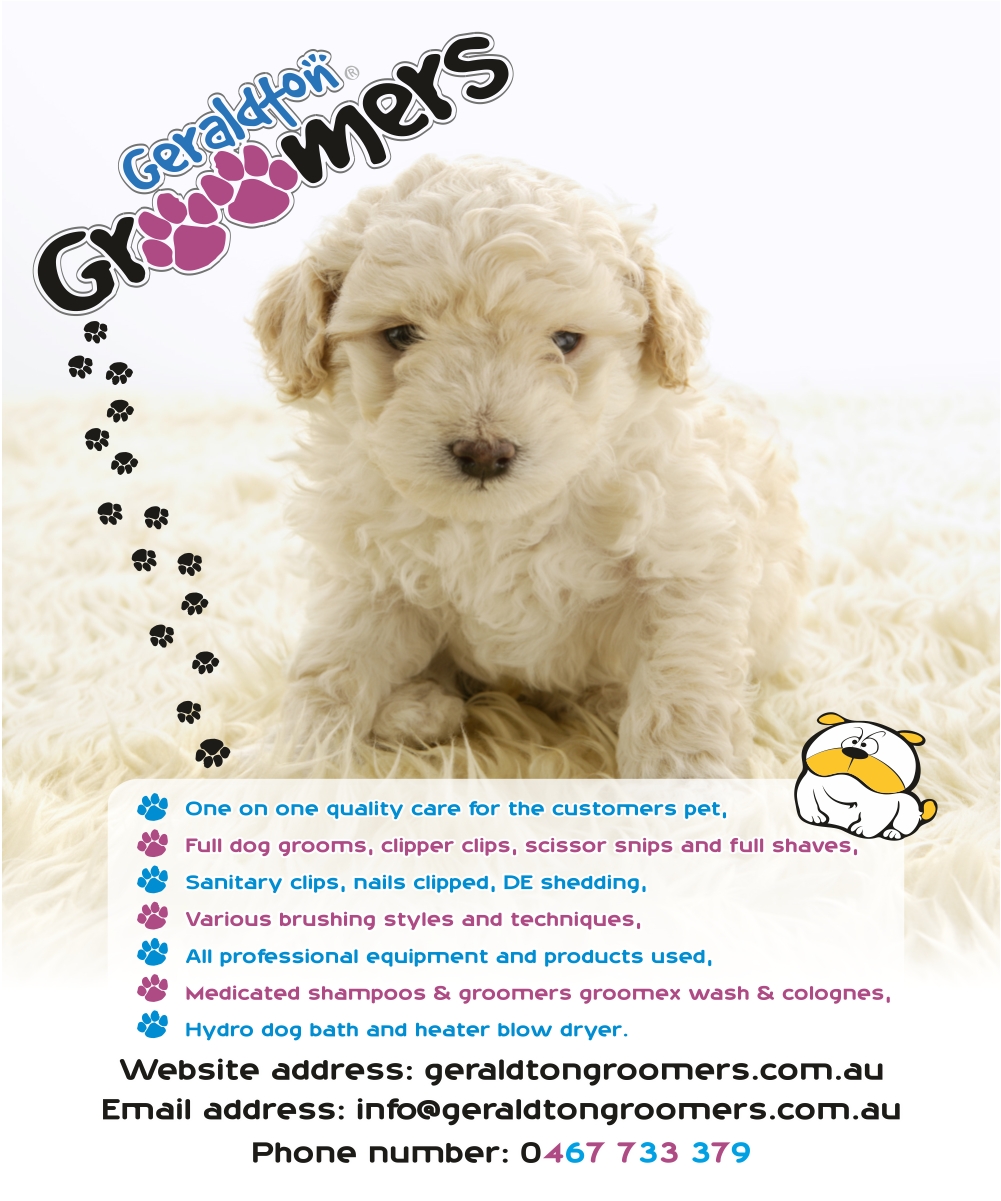 Flyer Design by dana for this project | Design #1157590