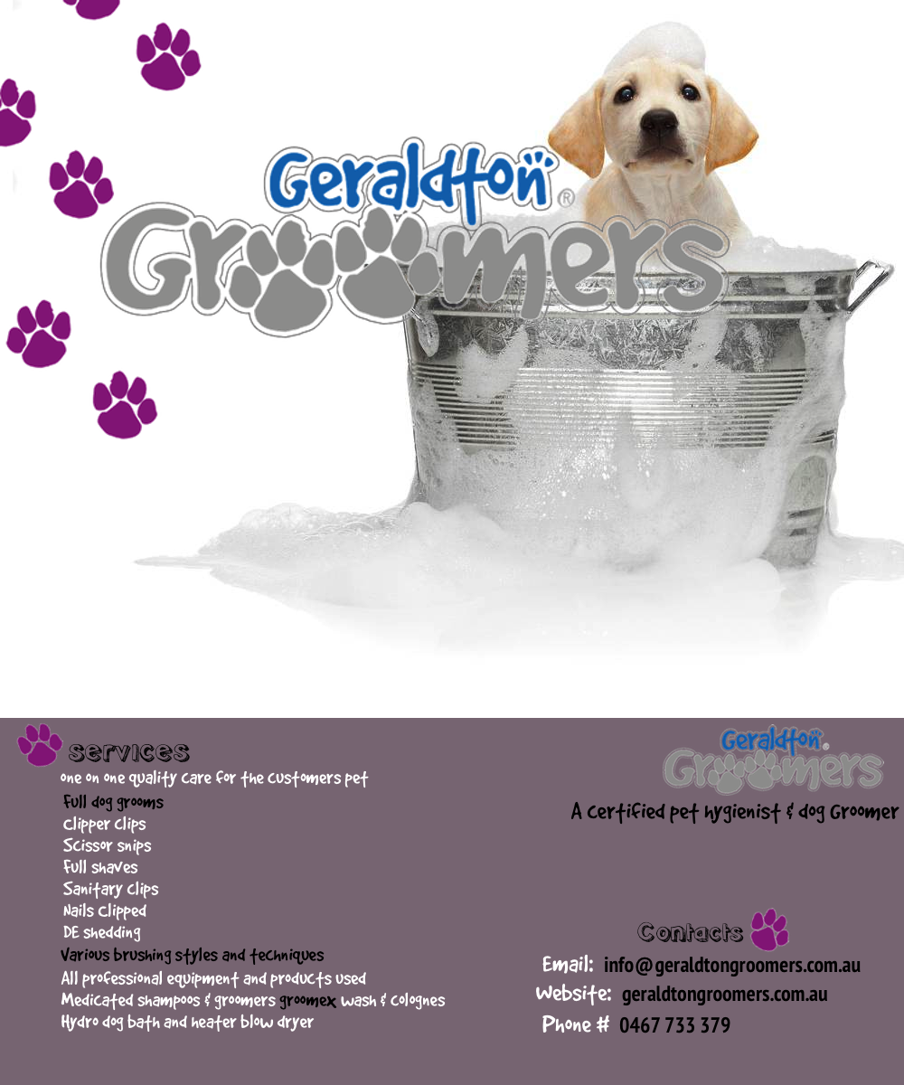 Flyer Design by mitoo for this project | Design #1134788