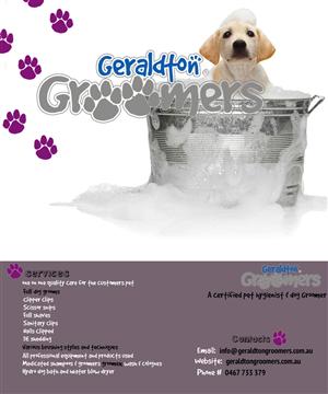 Flyer-Design von mitoo für dieses Projekt | Design #1134788