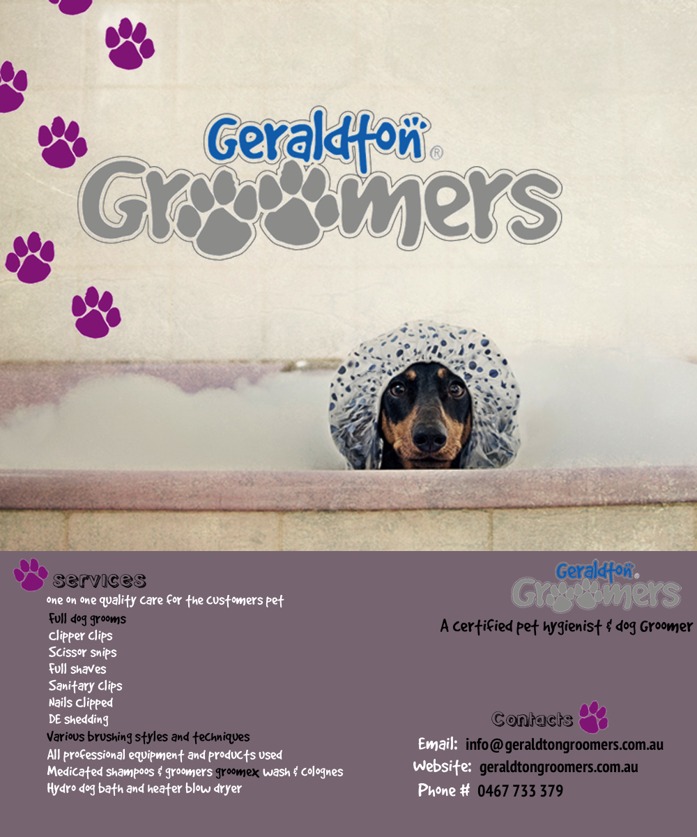 Flyer Design by mitoo for this project | Design #1134795