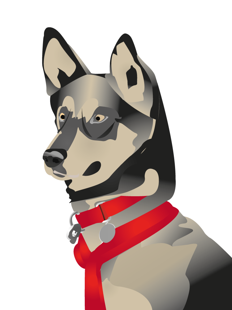 Graphic Design by Shark1906 for Turning Heads Kennel LLC | Design #4116601