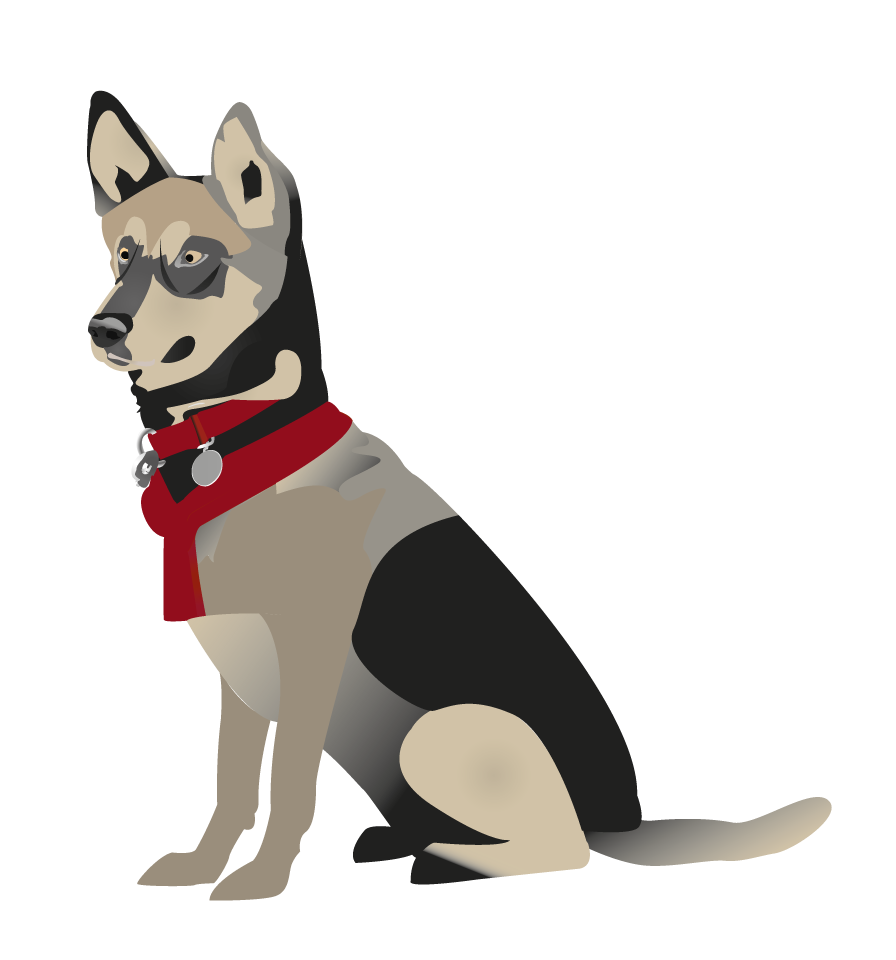 Graphic Design by Shark1906 for Turning Heads Kennel LLC | Design #4129491