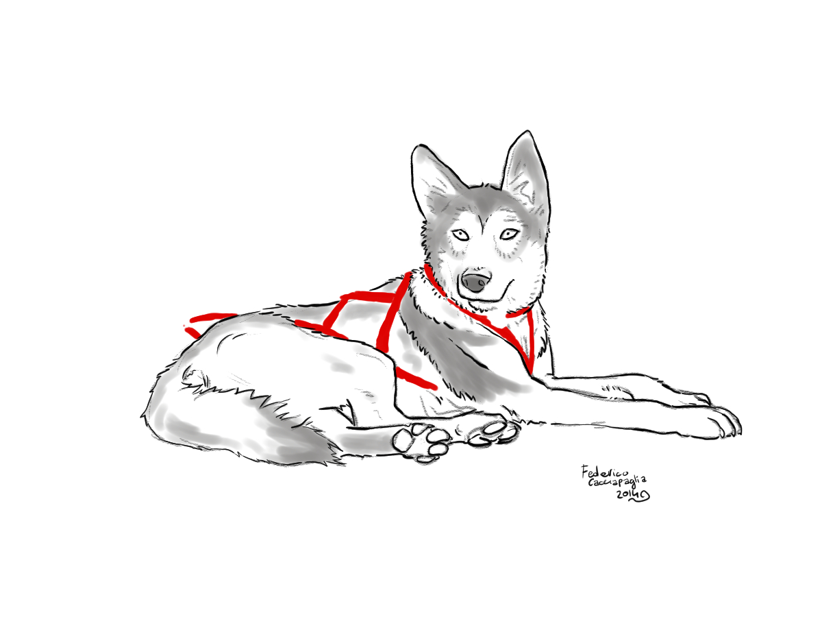 Graphic Design by acquaspazio for Turning Heads Kennel LLC | Design #4145217