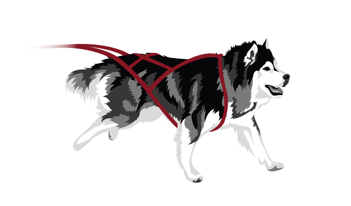 Graphic Design by FCJ_GRAPHICS for Turning Heads Kennel LLC | Design #4113412