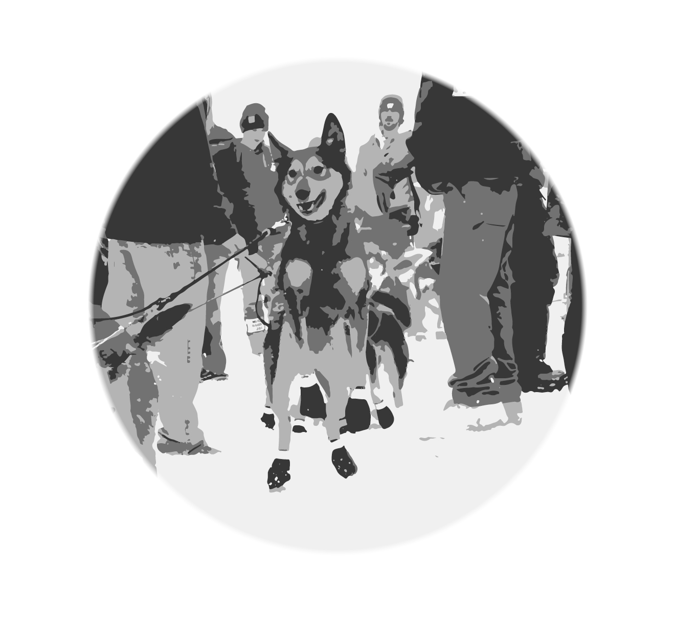 Graphic Design by FCJ_GRAPHICS for Turning Heads Kennel LLC | Design #4118098