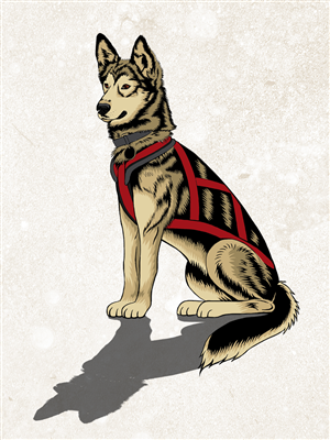 Graphic Design by dan-D-dan for Turning Heads Kennel LLC | Design #4158813