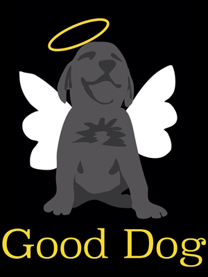 Logo Design by Kajin