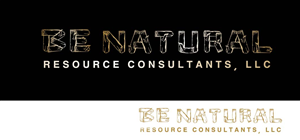 Design de Logo par Elkana Letting pour ce projet | Design #4103570