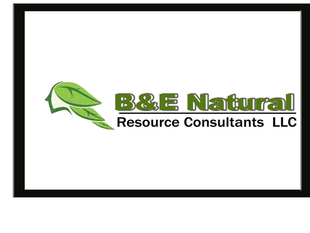 Logo Design by devamadhesh for this project | Design #4129888