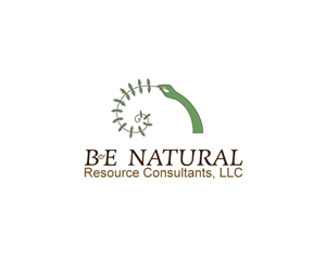 Logo Design by bohop