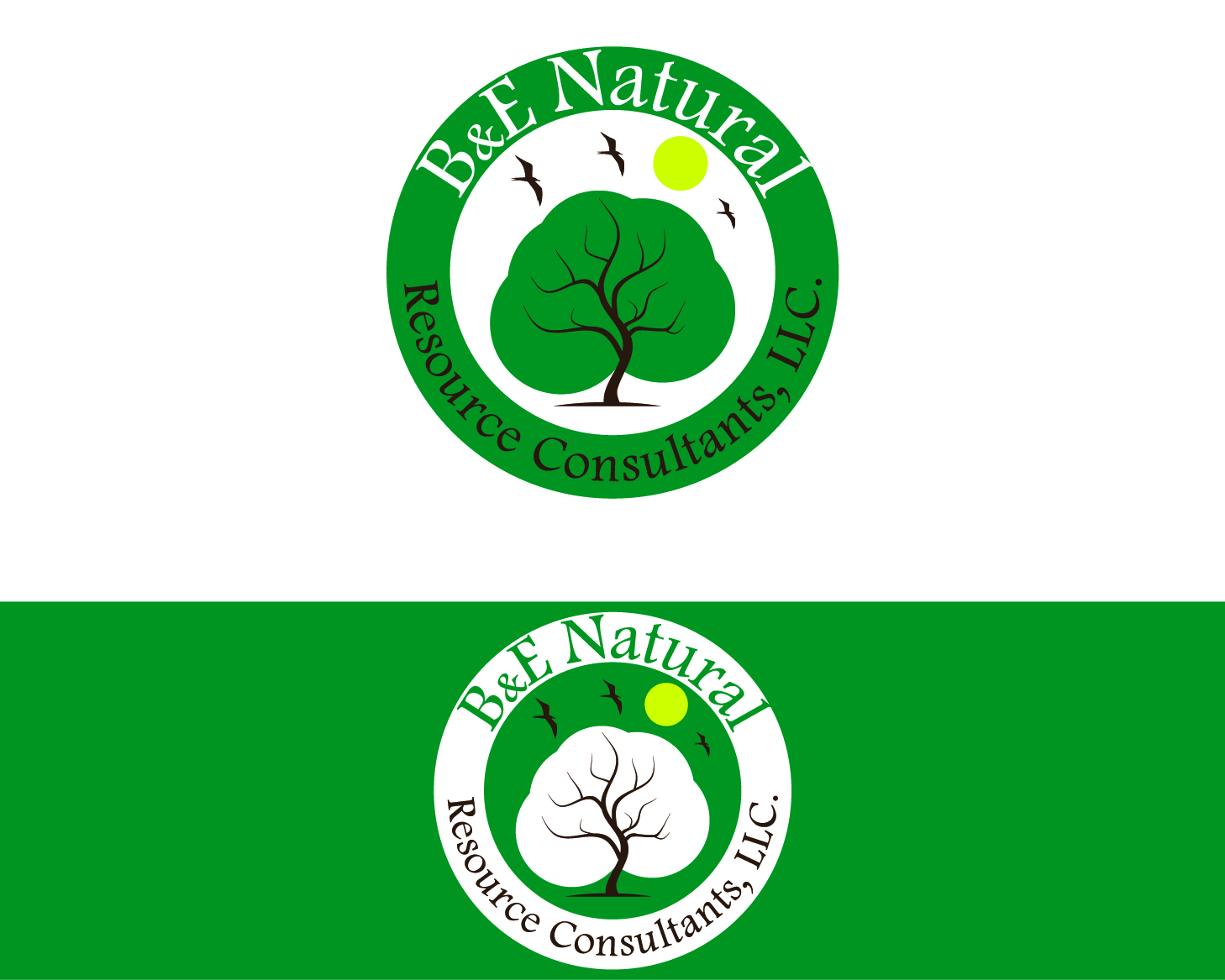 Logo Design by Crest Logo Designs for this project | Design #4109348