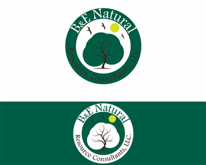 Design de Logo par Crest Logo Designs pour ce projet | Design : #4109348