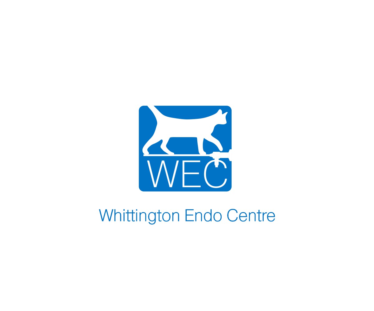 Logo-Design von bojboga für dieses Projekt | Design #16076867