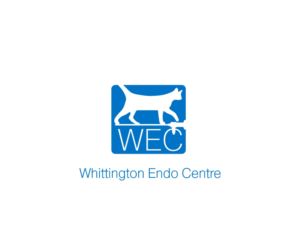 Logo Design by bojboga for this project | Design #16076867