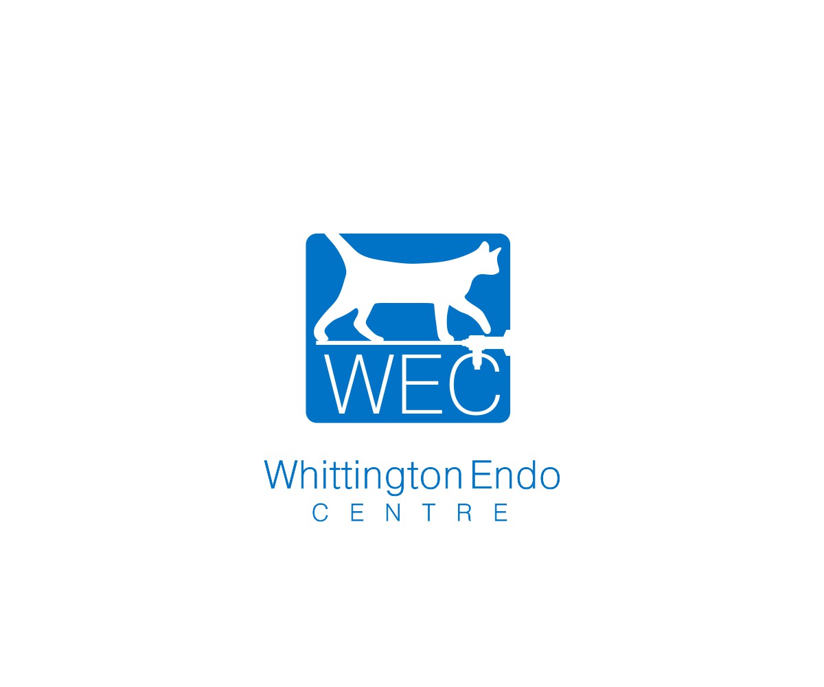 Logo Design by bojboga for this project | Design #16076869