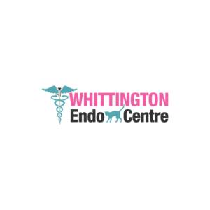 Logo Design by ancineha