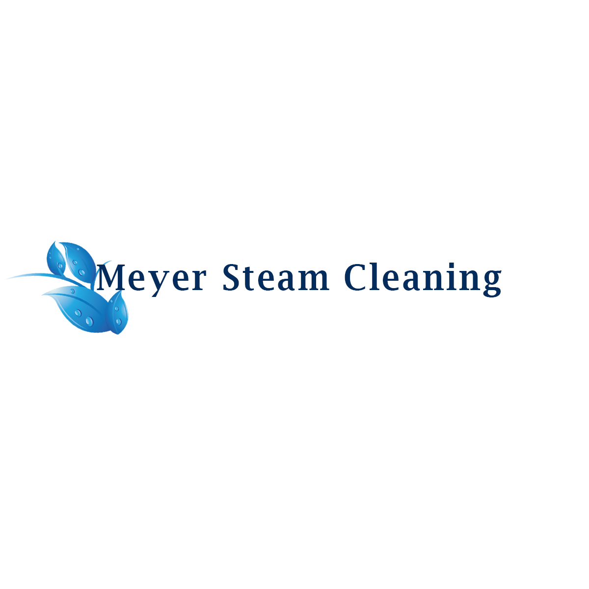 Logo-Design von Forever Marked Designs für Meyer Steam Cleaning | Design #1138865