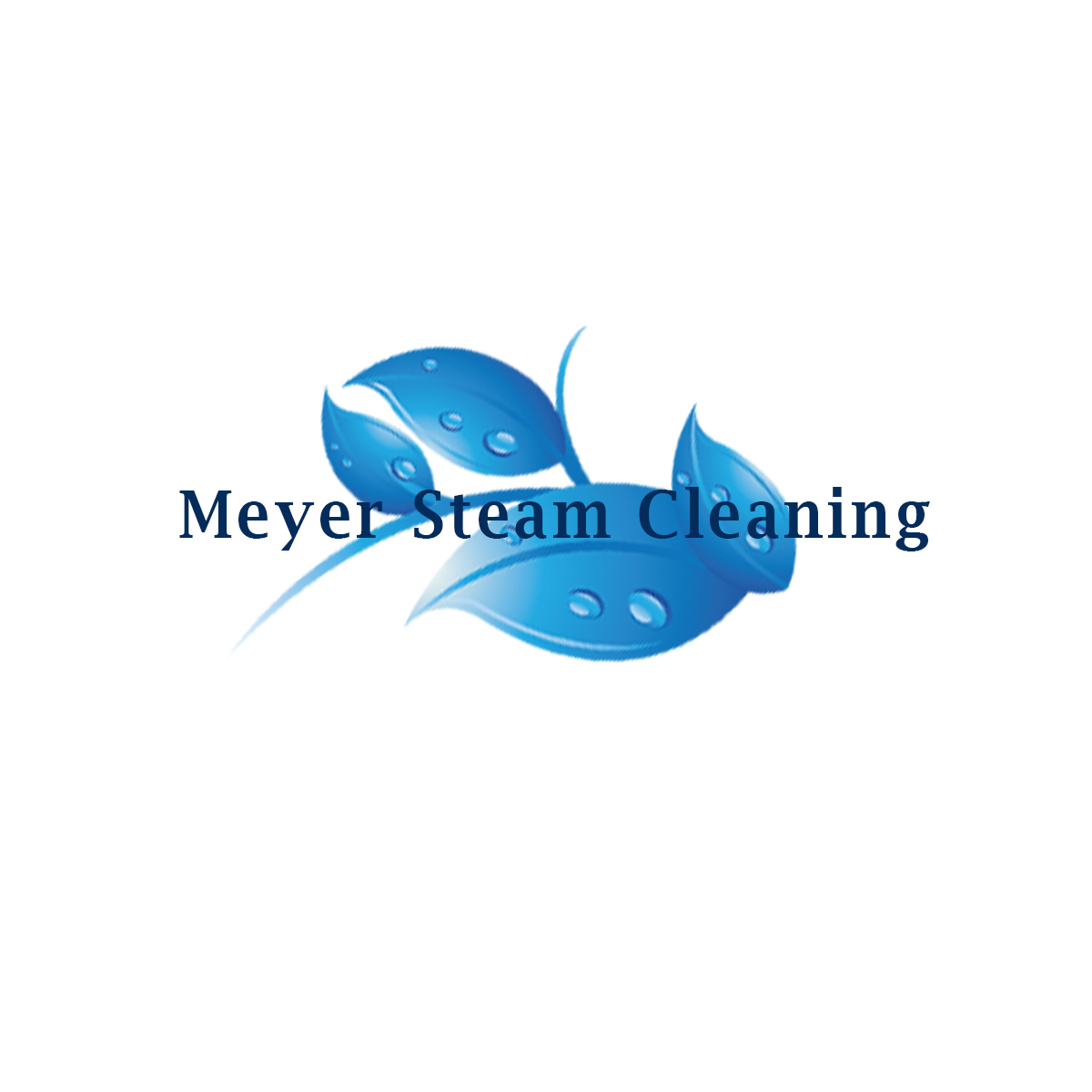 Logo Design by Forever Marked Designs for Meyer Steam Cleaning | Design #1138869