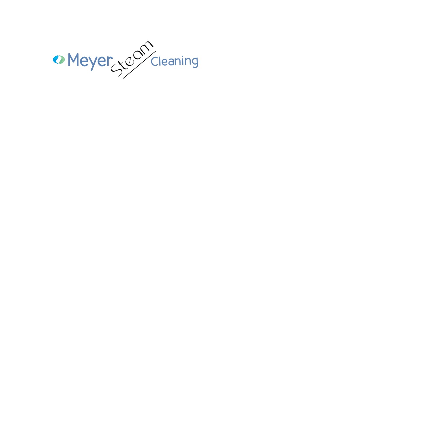 Logo Design by focus1 for Meyer Steam Cleaning | Design #1146901