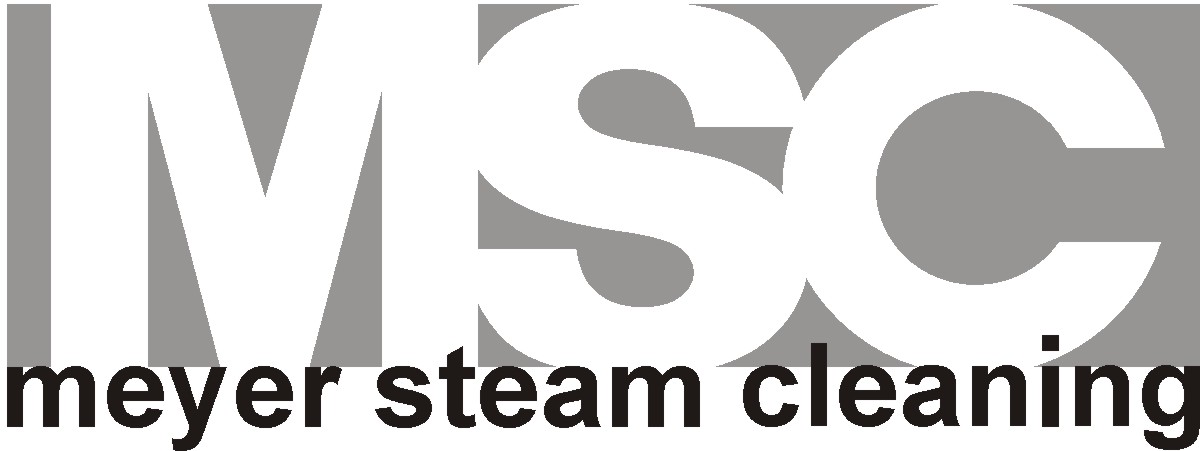 Logo Design by Lou Byer for Meyer Steam Cleaning | Design #1144317