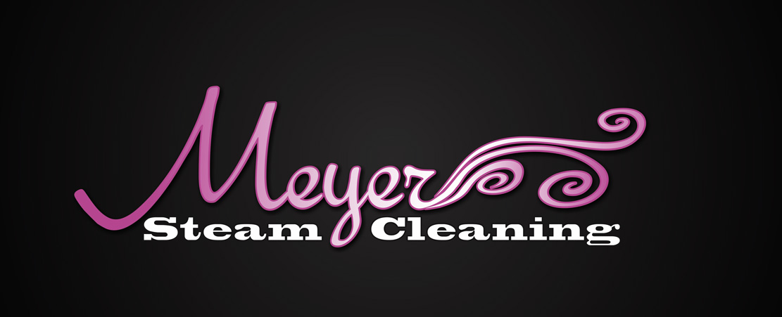 Logo Design by masterjdr for Meyer Steam Cleaning | Design #1136806