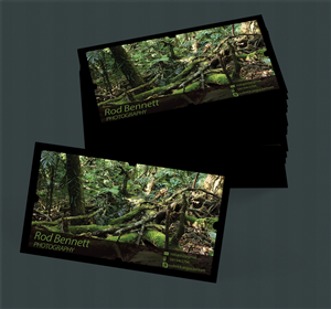 Business Card Design by KimballDesigns for this project | Design #4112339