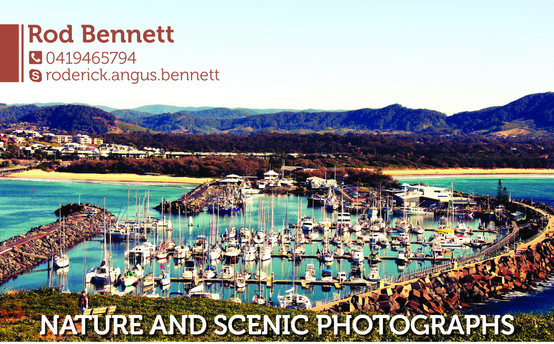 Diseño de Tarjeta de Presentación por ale.amp para este proyecto | Diseño #4108556