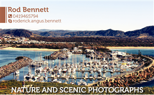 Business Card Design by ale.amp