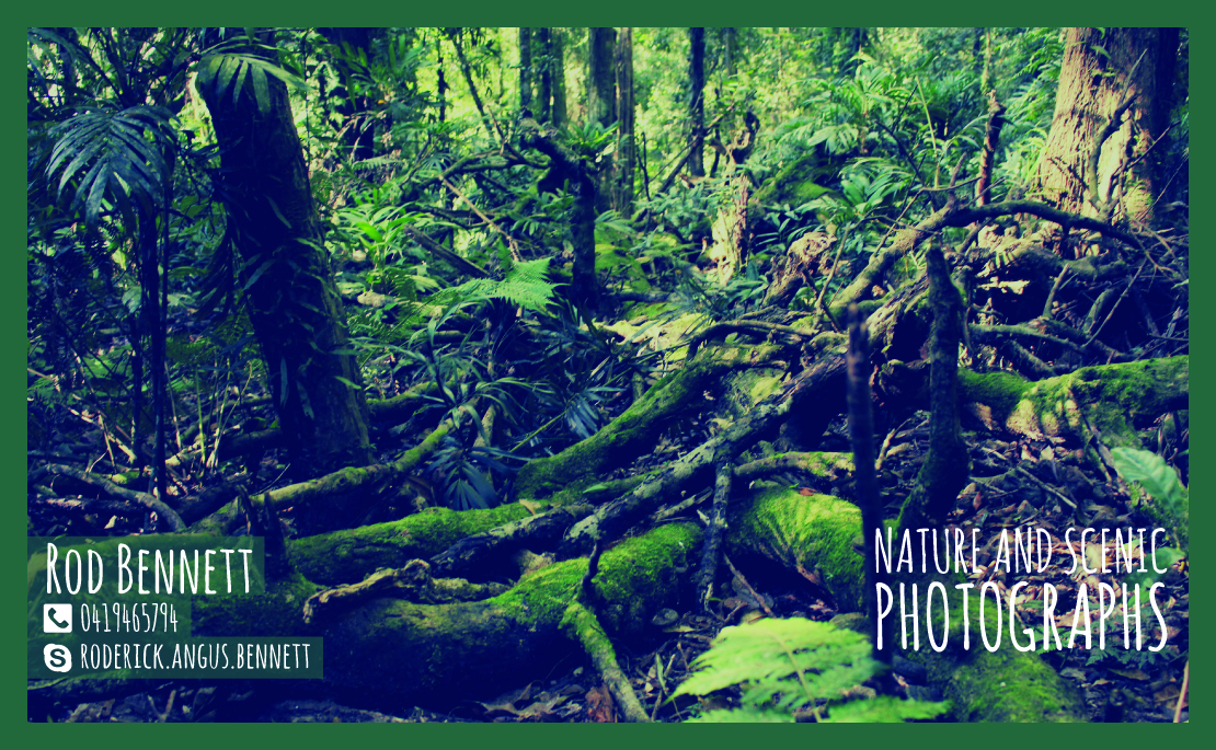 Diseño de Tarjeta de Presentación por ale.amp para este proyecto | Diseño #4108667