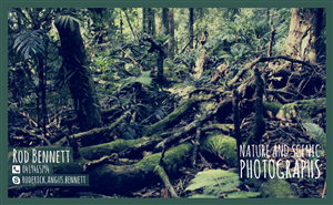 Design de Carte de Visite par ale.amp pour ce projet | Design : #4108667