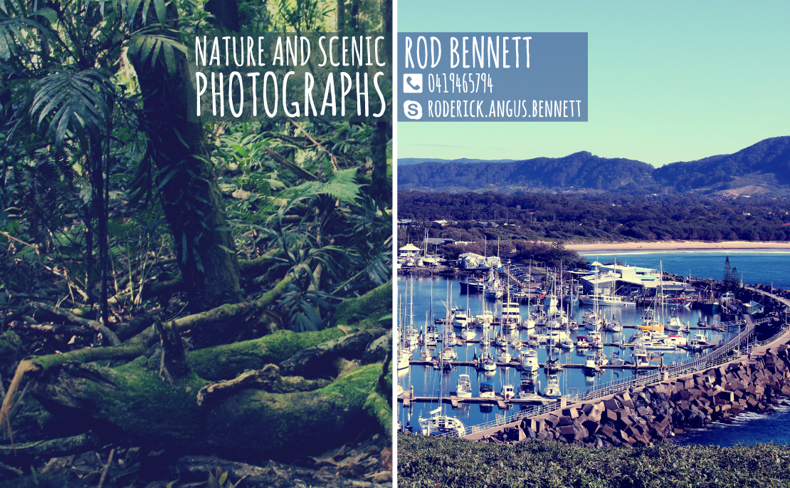 Business Card Design by ale.amp for this project | Design #4108764