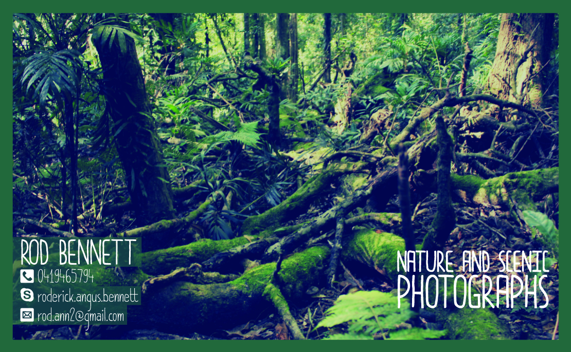 Diseño de Tarjeta de Presentación por ale.amp para este proyecto | Diseño #4111839