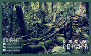 Design de Carte de Visite par ale.amp pour ce projet | Design : #4111839