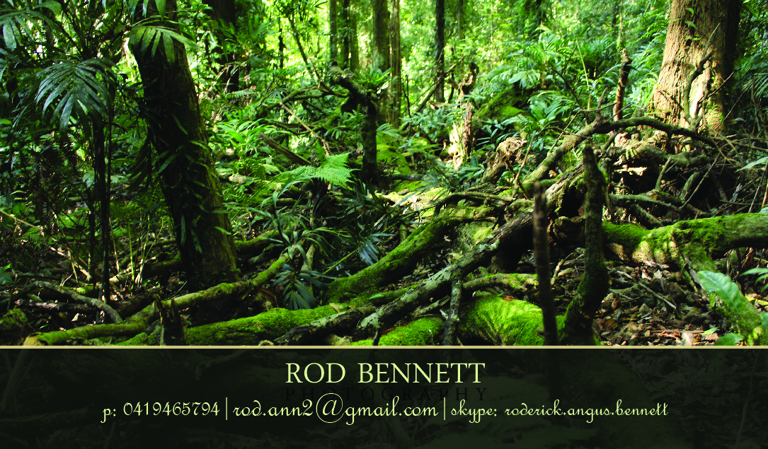 Business Card Design by Motus Design Studio for this project | Design #4112984