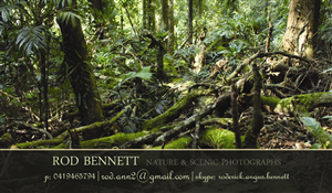 Business Card Design by MOTUSdesignstudio for this project | Design #4114740