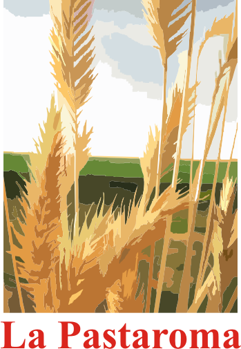 Diseño de Logo por Alireza Mirzaei para este proyecto | Diseño #157528