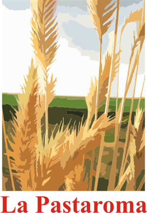 Logo Design by Alireza Mirzaei for this project | Design: #157528