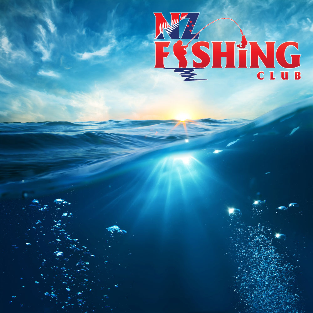 Diseño de Logo por Think1st para este proyecto | Diseño #4118414