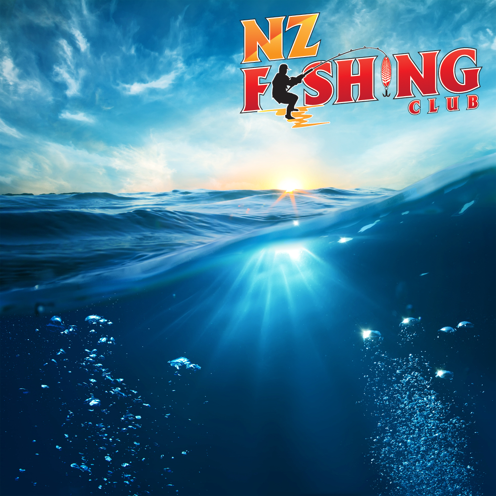 Diseño de Logo por Think1st para este proyecto | Diseño #4128754