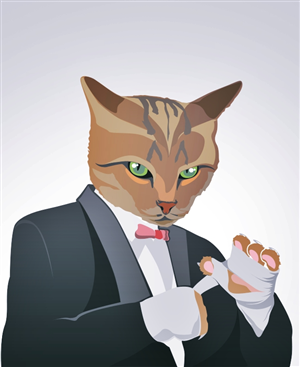 Illustration Design by Happixel