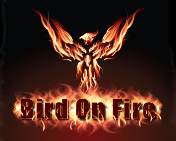 Logo Design by Dennis Jackson for Bird on Fire Pty Ltd | Design #1185599